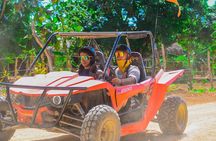 Buggy Kayo Tour IN PUNTA CANA