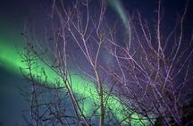 Yellowknife Aurora Hunting Tour 