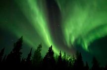 Aurora Hunting Tour in Yellowknife — Shared Bus