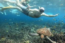 Amazing Nusa Penida Snorkeling Experience