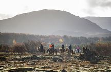 Private Icelandic Horseback Ride: Matched to Skill Level
