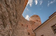 Riga to Vilnius Private Sightseeing Transfer & Tour
