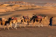  Agafay Desert Adventure Quad Camel Ride and Magical Evening