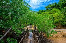 Private Coron Town Tour and Maquinit Hot Spring 