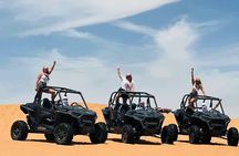Dubai Desert Quad Bike and High Speed Dune Buggy Adventure