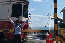 The Busan Forest and Coastal Private Tour