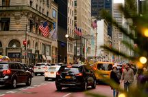 NYC: New York History & Landmarks Guided City Tour by E-Cart