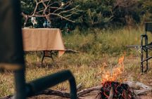 No1 Rated Sunset Game Drive and Bush Dinner