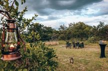 No1 Rated Sunset Game Drive and Bush Dinner