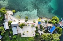 KidFriendly Monkey Sloth Iguana Farm BeachBreak chocolate sample