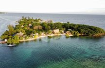 KidFriendly Monkey Sloth Iguana Farm BeachBreak chocolate sample