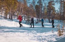 Easy Snowshoe Adventure in the Arctic Wilderness