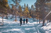 Easy Snowshoe Adventure in the Arctic Wilderness
