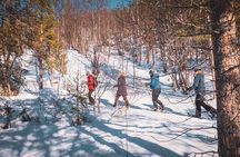 Easy Snowshoe Adventure in the Arctic Wilderness