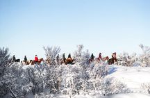 Private Icelandic Horseback Ride: Matched to Skill Level