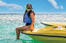 Mangrove Jungle Speedboat Experience 