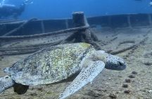 Espiritu Santo Private SCUBA Tour for Beginners