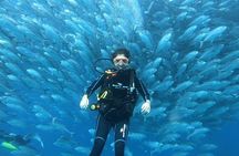 Espiritu Santo Private SCUBA Tour for Beginners