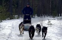 Rovaniemi Husky Safari - Self Drive Adventure + BBQ