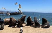 Viña del Mar and Valparaíso (Values Private for up to 9 people)