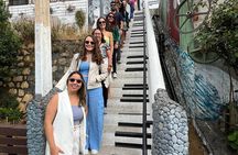 Viña del Mar and Valparaíso (Values Private for up to 9 people)