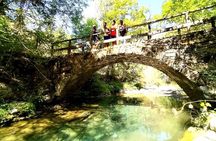 Train Experience through the Alps (Full Day from Nice)