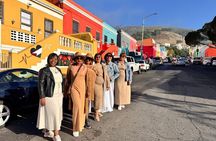 Half Day Adventure Penguin Encounter at Boulders Beach