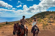 Sunshine Mountain Vista Horseback Trail Ride on Oahu
