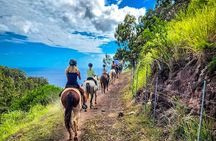 Sunshine Mountain Vista Horseback Trail Ride on Oahu