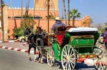 Marrakech! 1 hour traditional horse - drawn carriage tour