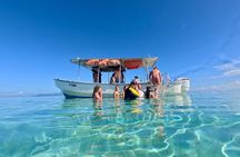 Snorkeling picnic in 4h30 with lunch in Tahiti