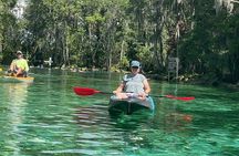 Crystal River: Three Sisters Single Kayak and Snorkeling Tour