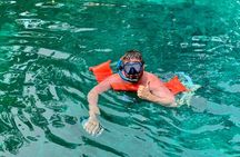 Crystal River: Three Sisters Single Kayak and Snorkeling Tour