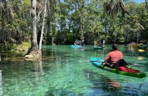 Crystal River: Three Sisters Single Kayak and Snorkeling Tour