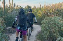 Guided Cactus Forest Mountain Bike Experience in La Ventana