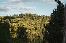 GolfCart Tour of Florence Hills & Chianti Wine Tasting Experience