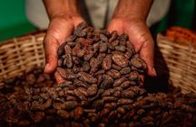 Mountain Pine Ridge Combo Caves and Waterfalls from San Ignacio