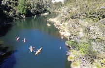 Hidden Lake Kayak Tour in Taupō’s Secret Gem