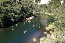 Hidden Lake Kayak Tour in Taupō’s Secret Gem