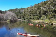 Hidden Lake Kayak Tour in Taupō’s Secret Gem