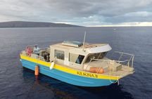 2-Tank Dive K2 Power Catamaran featuring the Molokini Crater