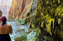 Goldstrike Hot Springs and 124 Degree Magma Heated Waterfall Hike