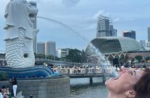 Singapore Guided Night Tour with 2 Light Shows & River Cruise 