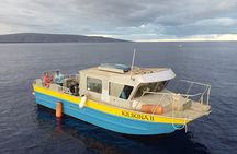 Two Site Snorkel Adventure featuring the Molokini Crater K2
