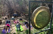 Gong Bath in the Magic Forest in San Pedro de Atacama