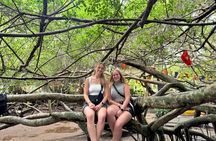 Can Tho: Lung Ngoc Hoang Nature Reserve & Hidden Forests