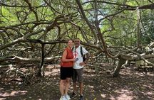 Can Tho: Lung Ngoc Hoang Nature Reserve & Hidden Forests