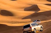 Desert Safari in Private Car, 4Hours, SandBoarding and Camelride