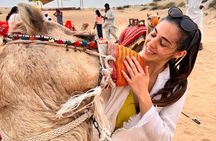 Desert Safari in Private Car, 4Hours, SandBoarding and Camelride