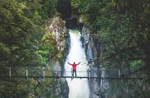 Premium Milford Sound Cruise & Milford Track Walk From Te Anau